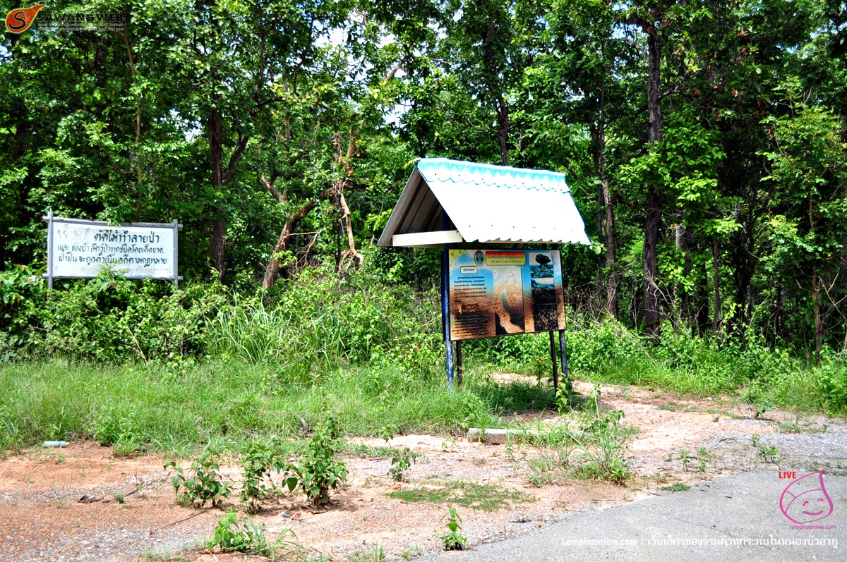 ภูหินลาดช่อฟ้า หนองบัวลำภู