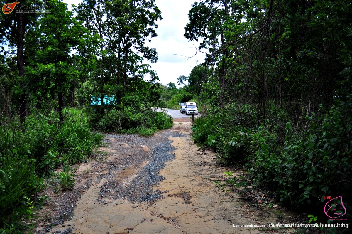 ภูหินลาดช่อฟ้า หนองบัวลำภู