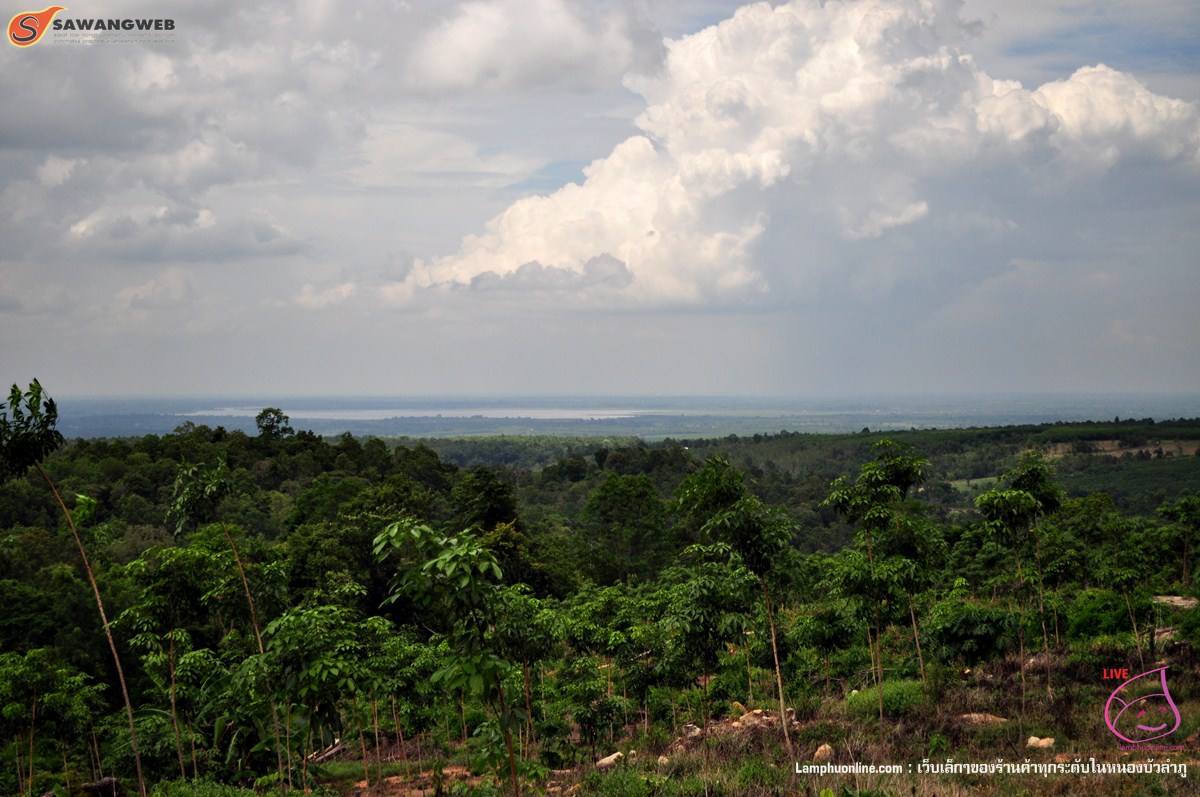 ภูหินลาดช่อฟ้า หนองบัวลำภู