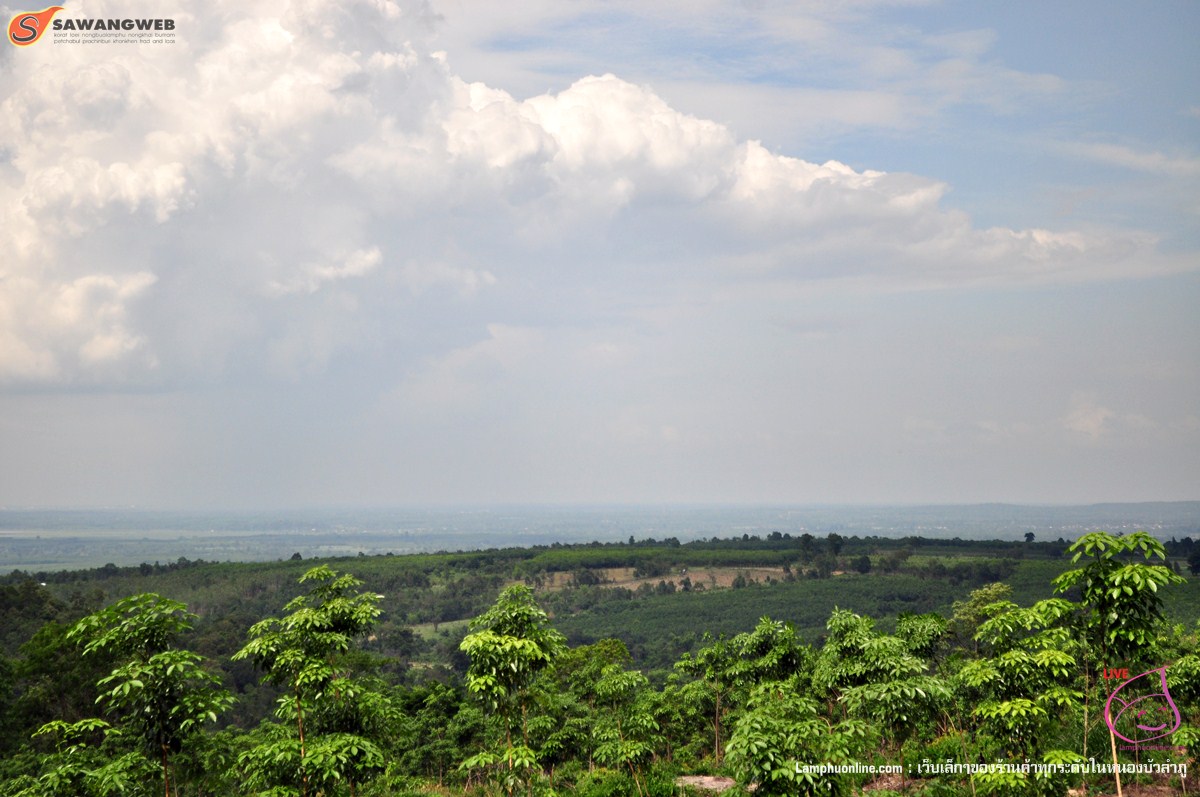 ภูหินลาดช่อฟ้า หนองบัวลำภู