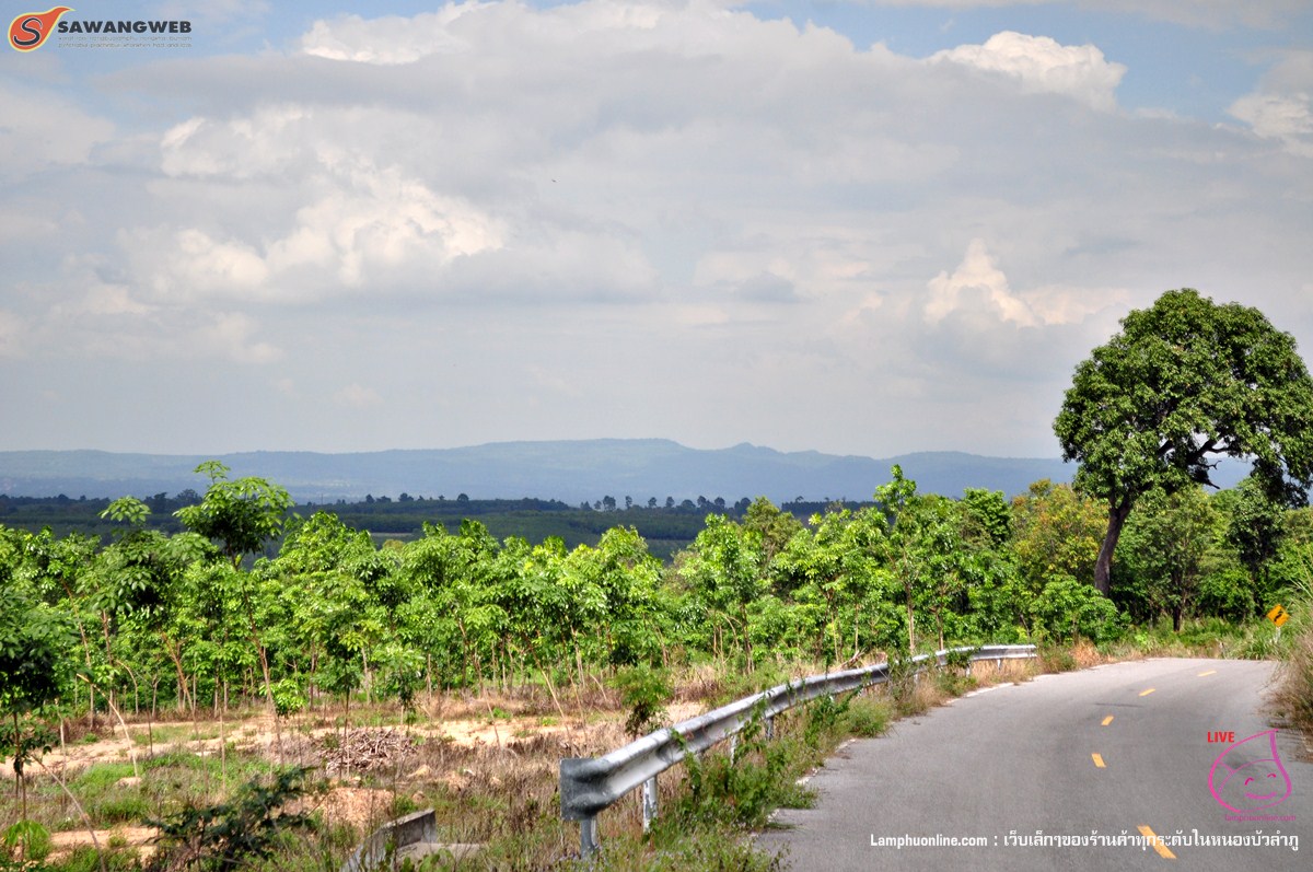 ภูหินลาดช่อฟ้า หนองบัวลำภู