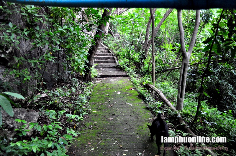 ภาพเขียนประวัติศาสตร์ วัดถ้ำผายา หนองบัวลำภู