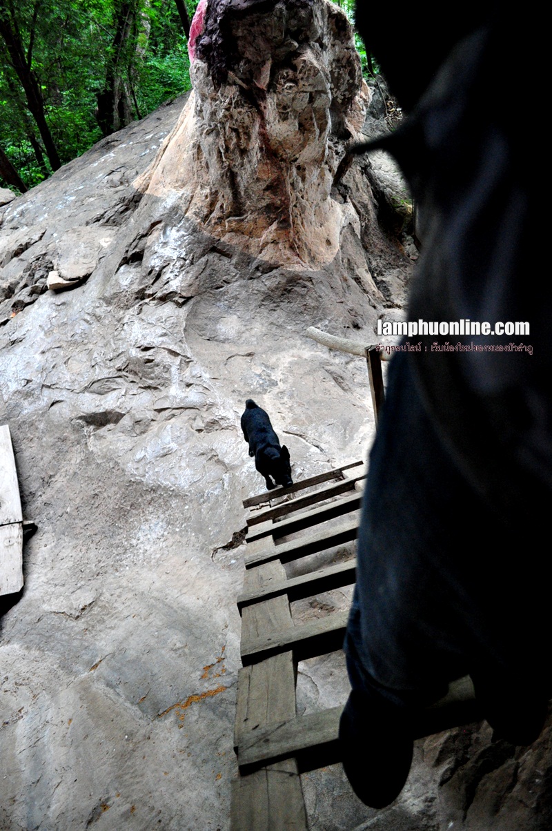 ภาพเขียนประวัติศาสตร์ วัดถ้ำผายา หนองบัวลำภู