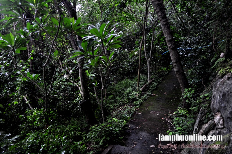 ภาพเขียนประวัติศาสตร์ วัดถ้ำผายา หนองบัวลำภู